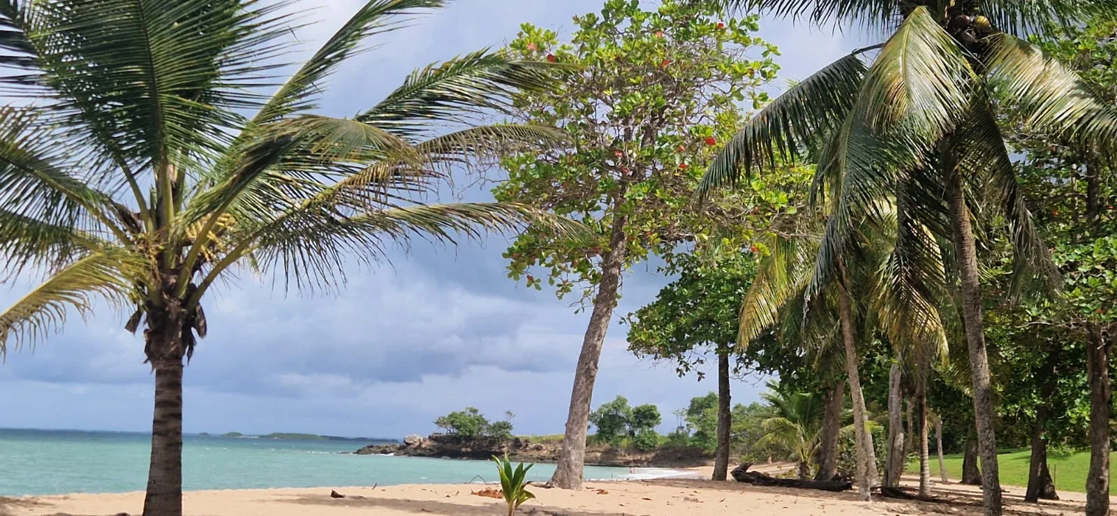 Les plages autour des Gîtes Blue Karaïb à Sainte-Anne