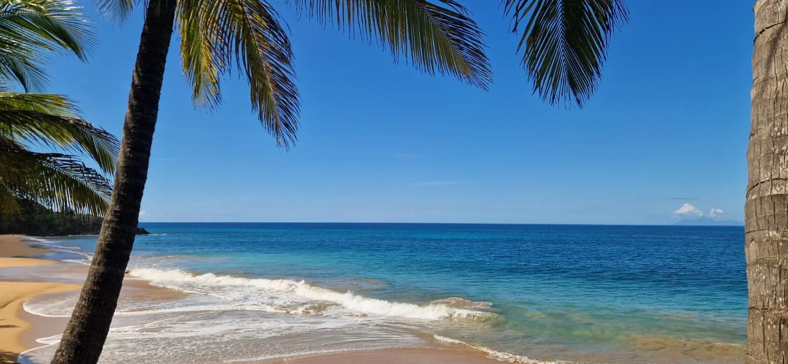 Les plages autour des Gîtes Blue Karaïb à Sainte-Anne