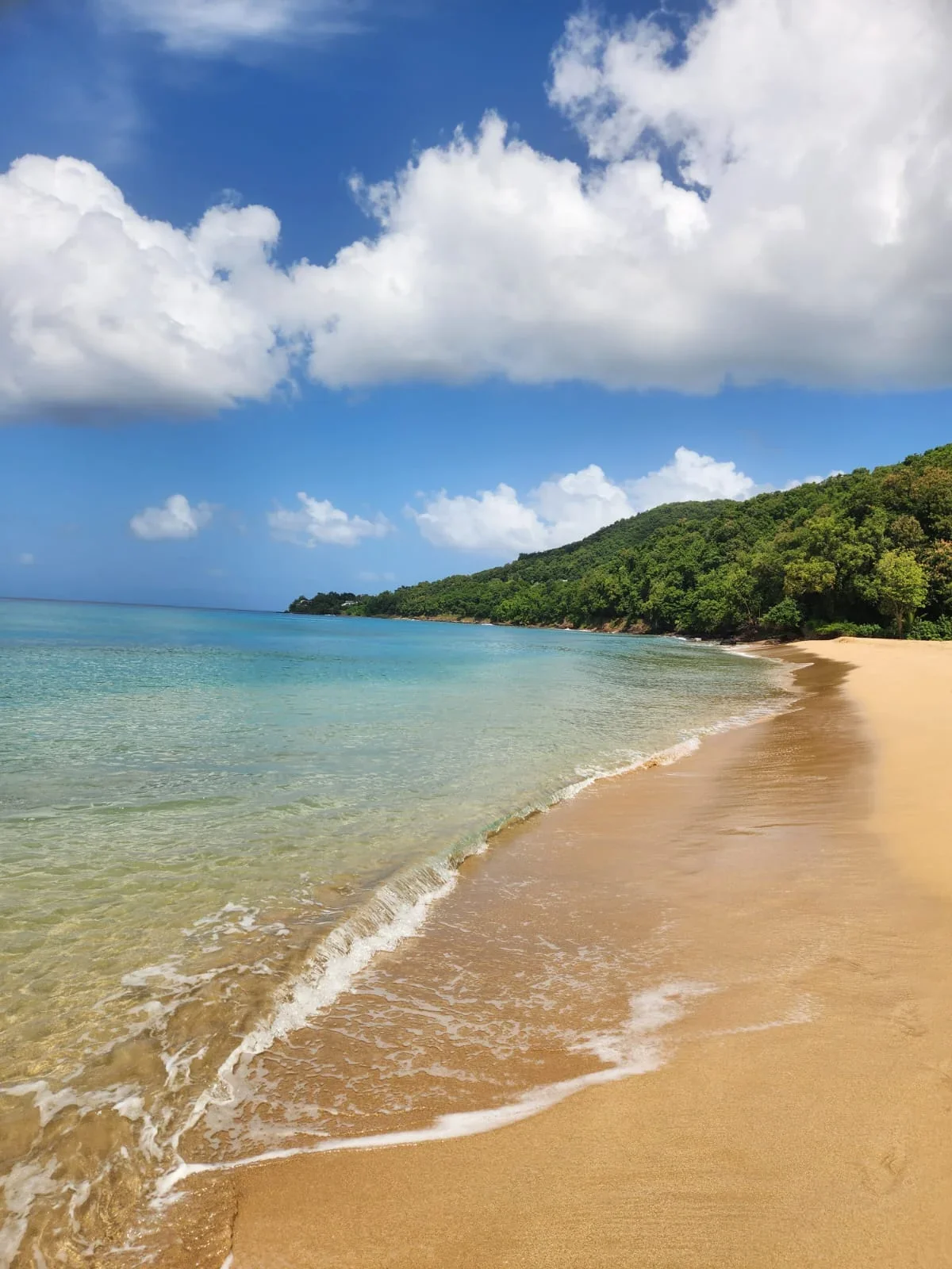 Les plages autour des Gîtes Blue Karaïb à Sainte-Anne